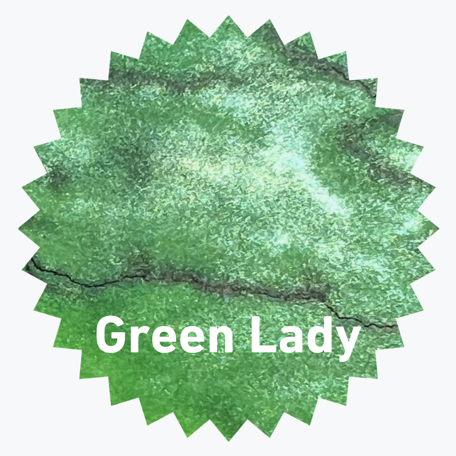 Robert Oster Shake 'N' Shimmy Ink Bottle Green Lady, 50ml