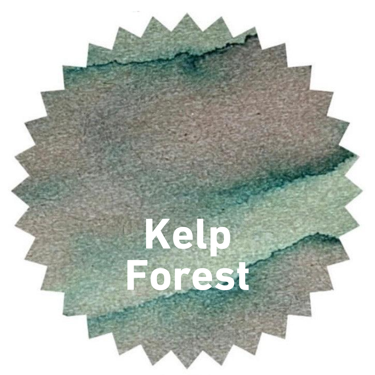 Robert Oster bottle ink, Kelp Forest, 50ml