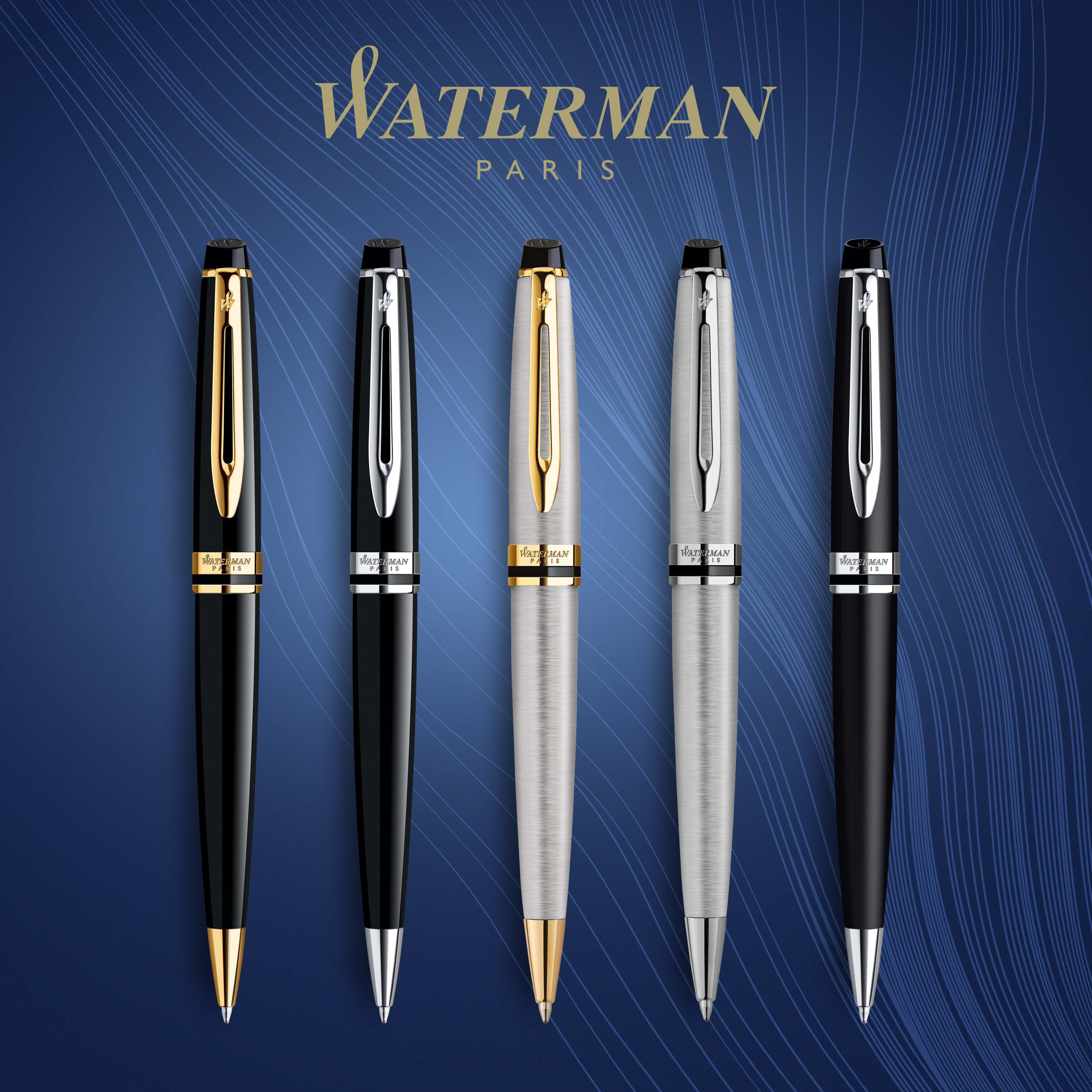 Waterman Expert Stainless Steel Gold Trim Ballpoint - Pencraft the boutique