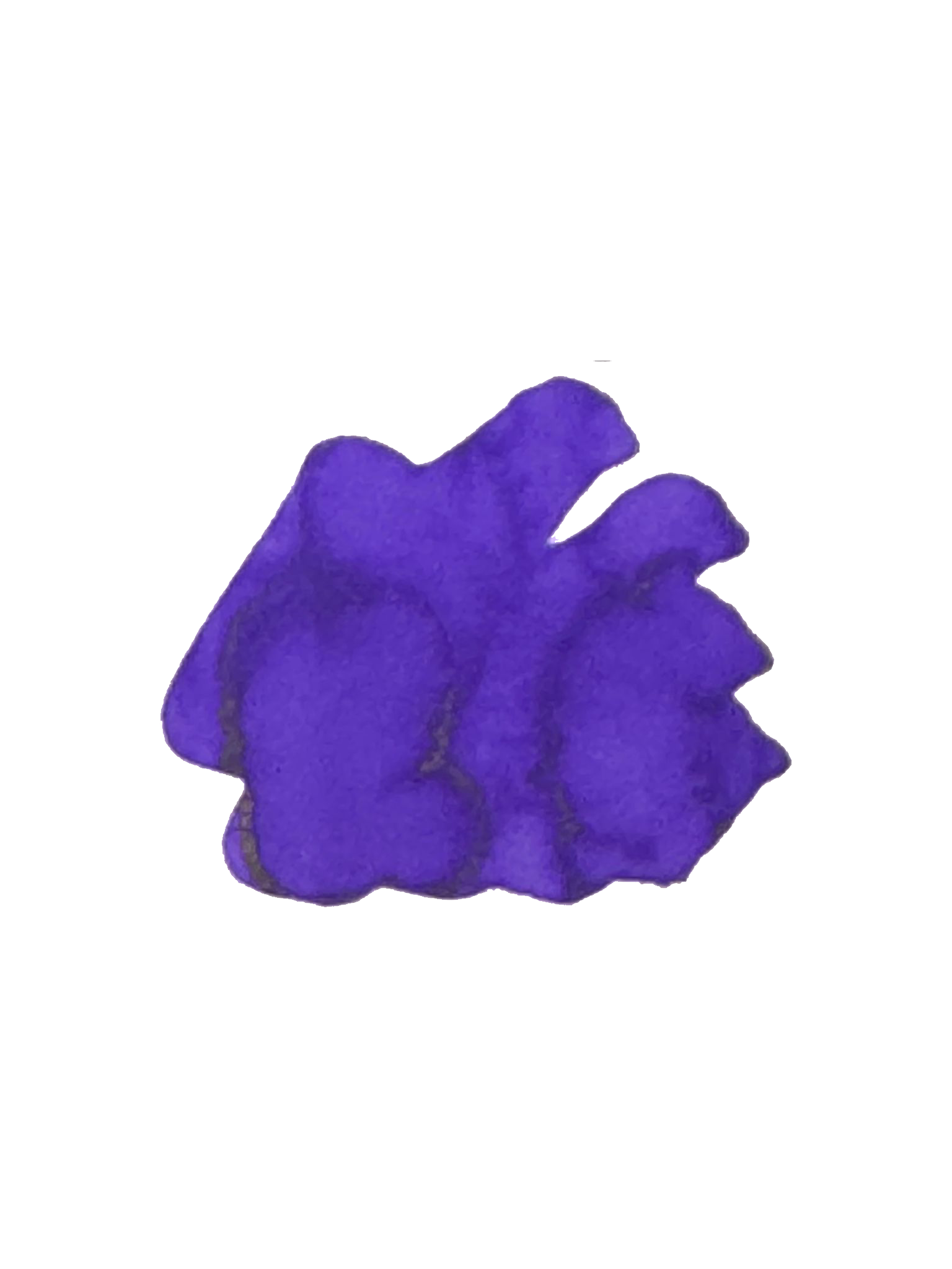 Robert Oster X Joshua Thorp ink bottle 50ml, Jacaranda Jewel