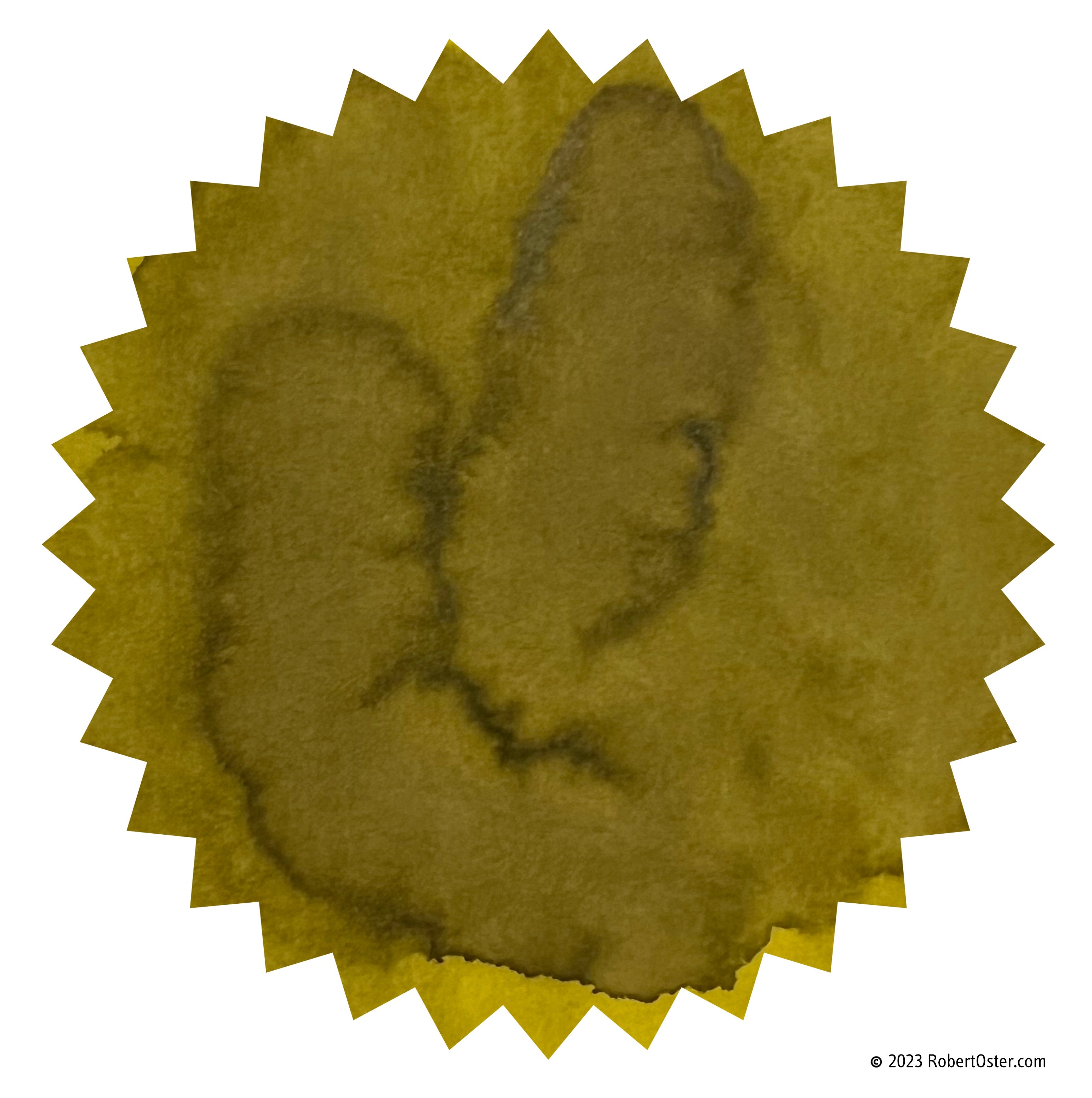 Robert Oster Signature Ink Bottle LE Ten Dollar Gold - Pencraft the boutique