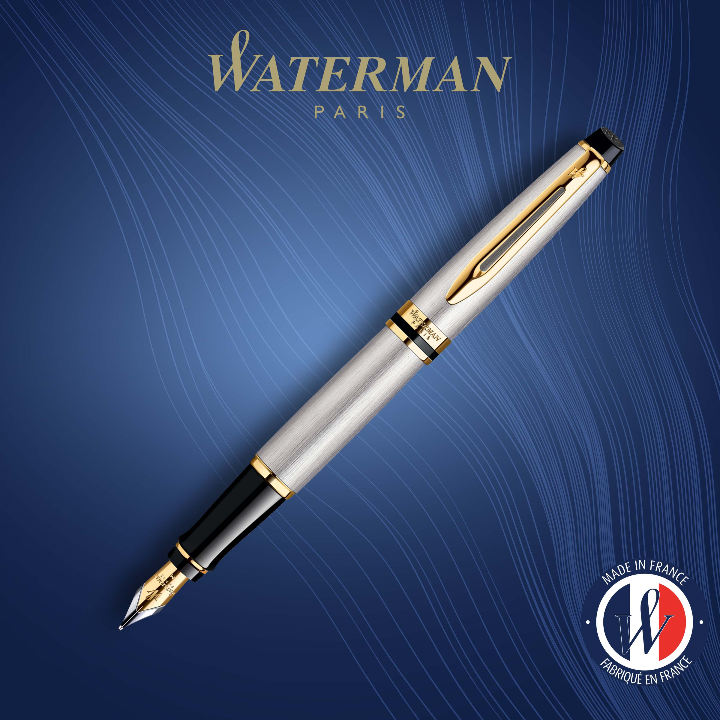 Waterman Expert Stainless Steel Gold Trim Fountain Pen - Pencraft the boutique