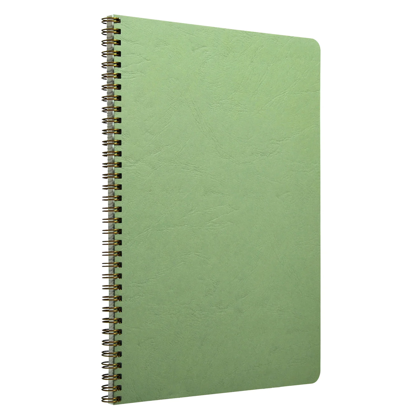 Clairefontaine My Essentials Wirebound Notebook A4 Ruled with Margin Green
