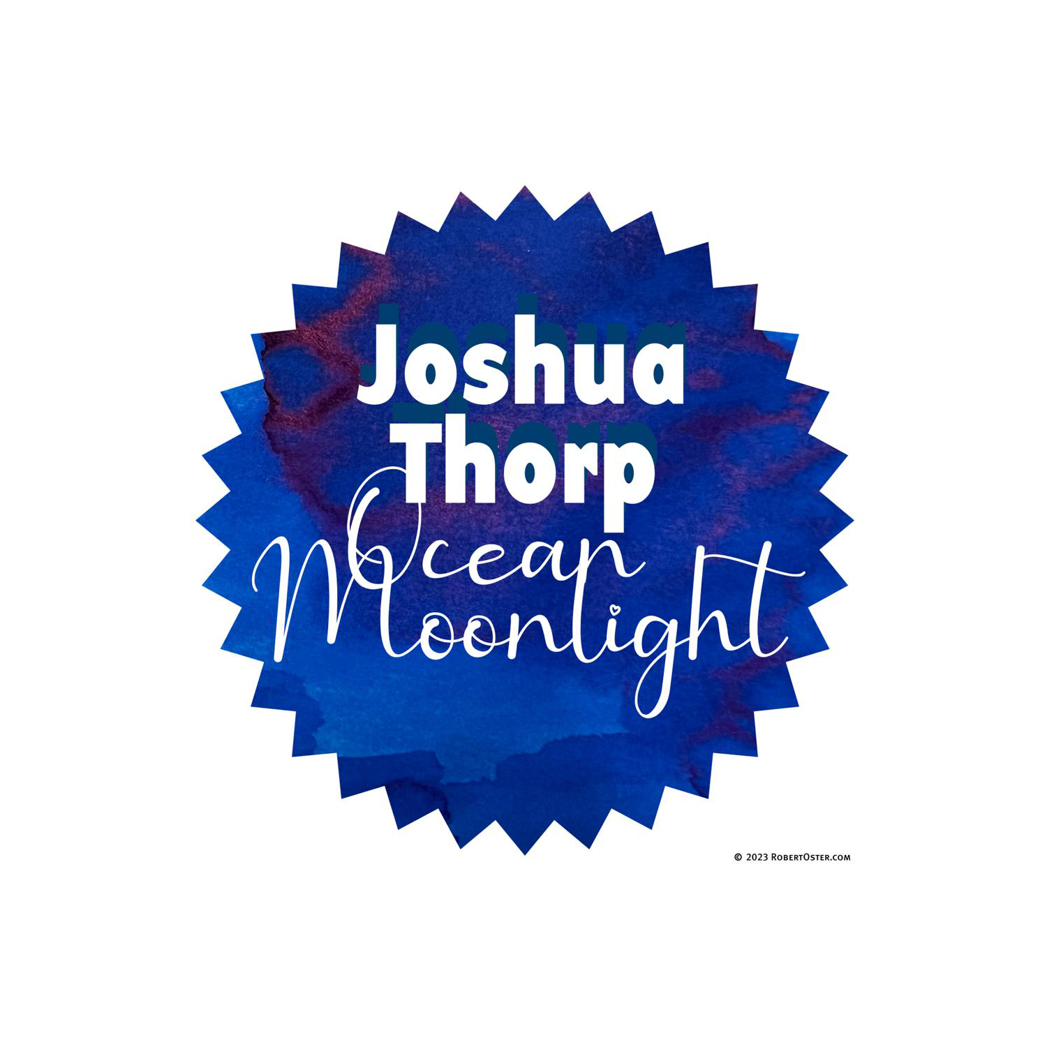 Robert Oster Signature Ink Bottle Joshua Thorp Ocean Moonlight - Pencraft the boutique