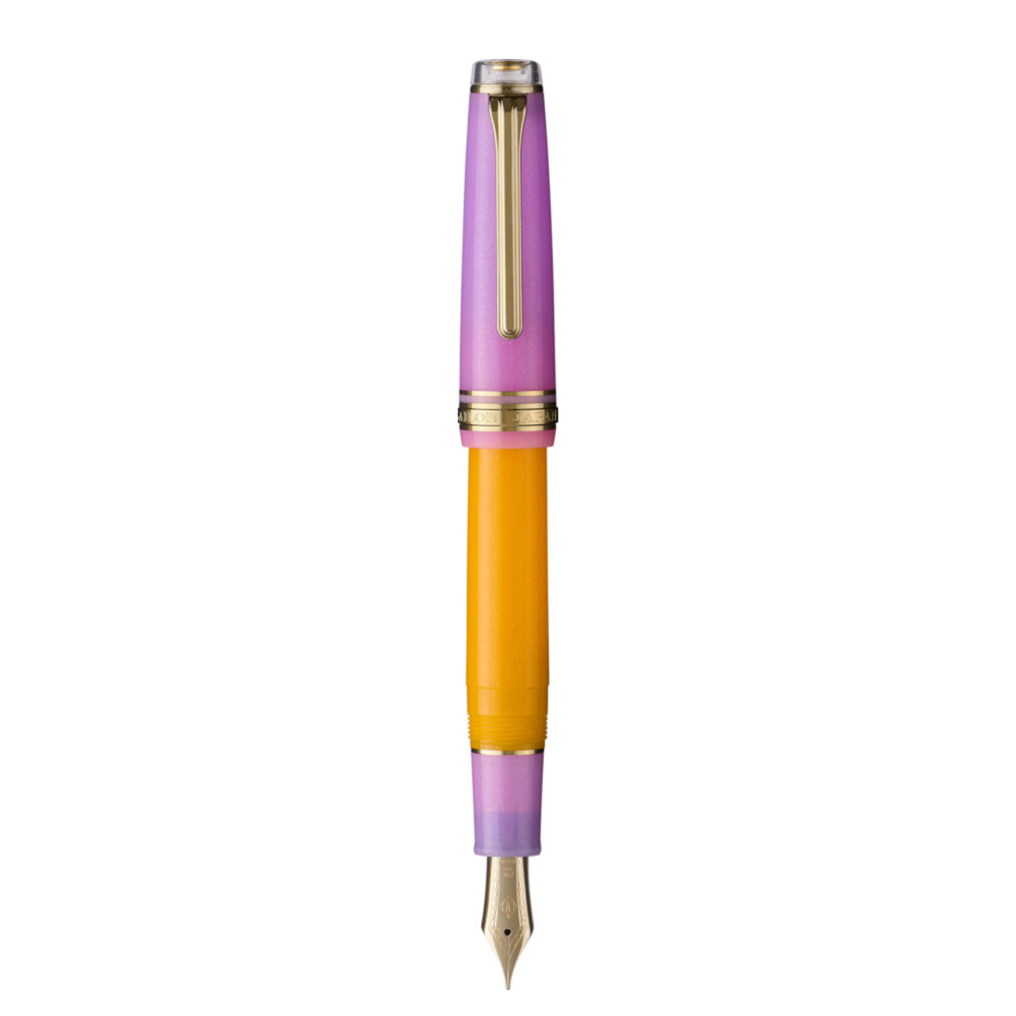 Sailor Smoothie Acai Berry Fountain Pen, MF